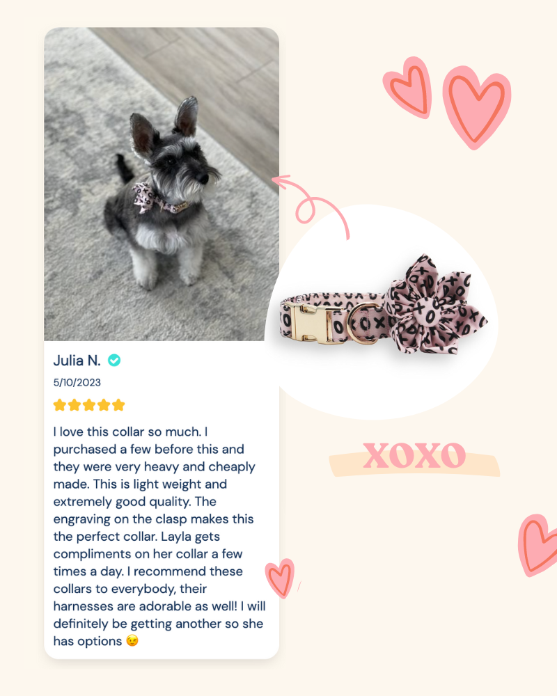 Cute designer customized best dog collar for girls and boys – Sniff & Bark